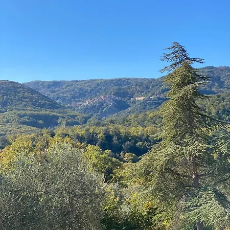 Cresci Con Piscina Sassetta