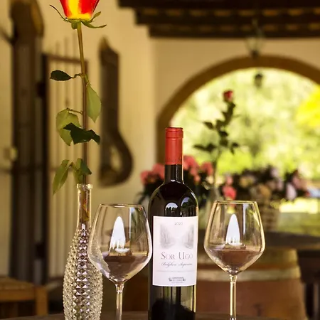 Cresci Con Piscina Tuscan With Pool Near Thermal Baths & Bolgheri Wine Route Διαμέρισμα